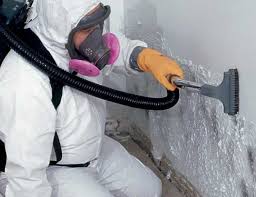 Why You Should Choose Our Mold Remediation Services in Fayetteville, AL